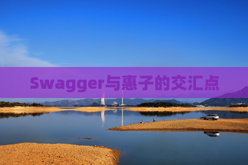 Swagger与惠子的交汇点